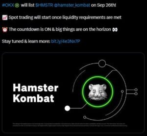 hamster kombat